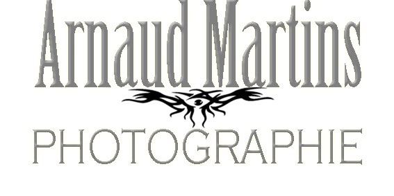 Arnaud M