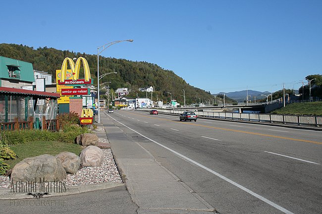 IMG-6431.jpg