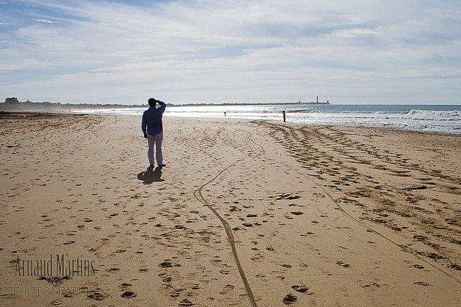 IMG-8338.jpg
