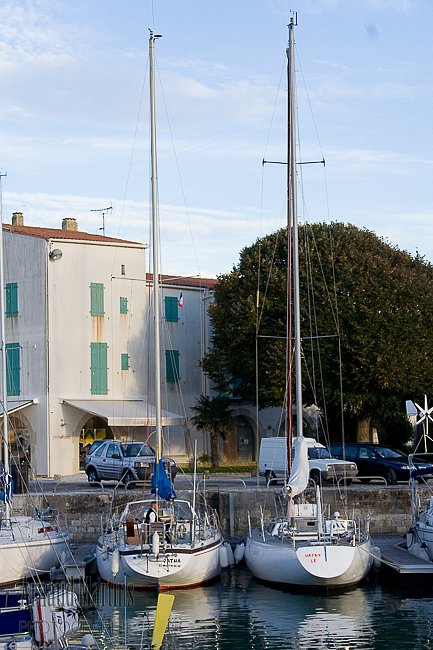 IMG-8406.jpg