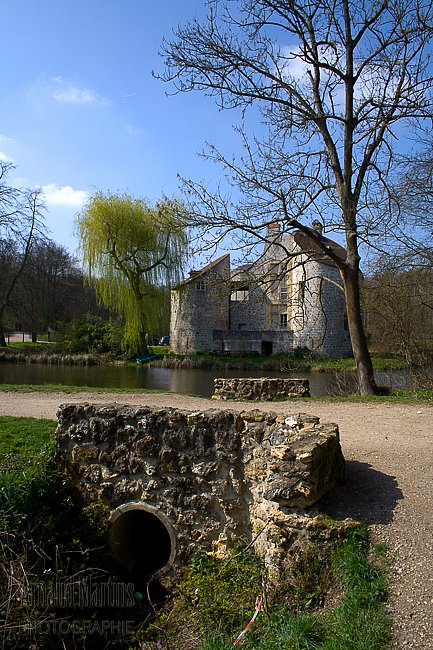IMG-1493.jpg
