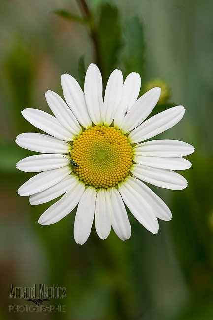 IMG-2373.jpg