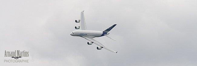 IMG-4656.jpg