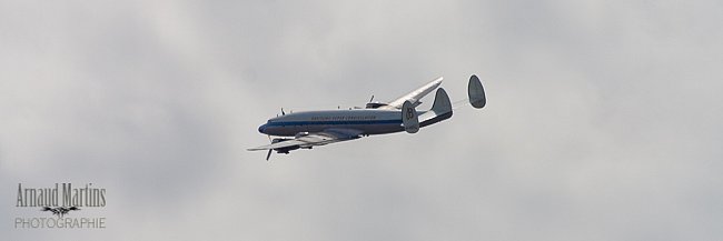 IMG-4796.jpg