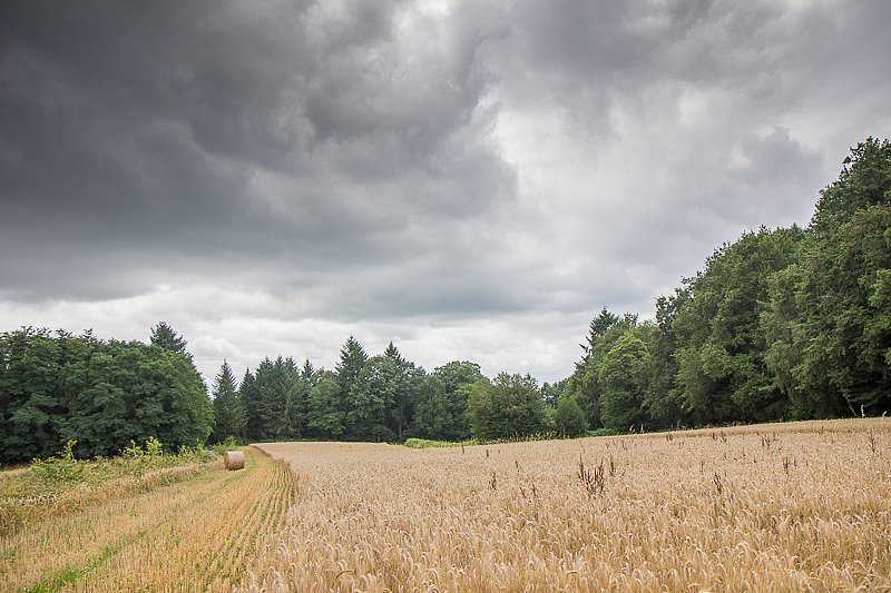IMG-3669-HDR.jpg