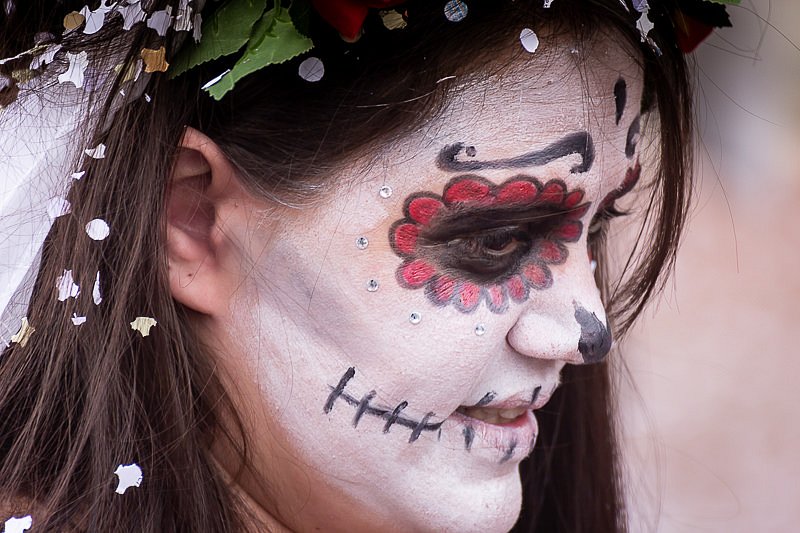 IMG-8355.jpg
