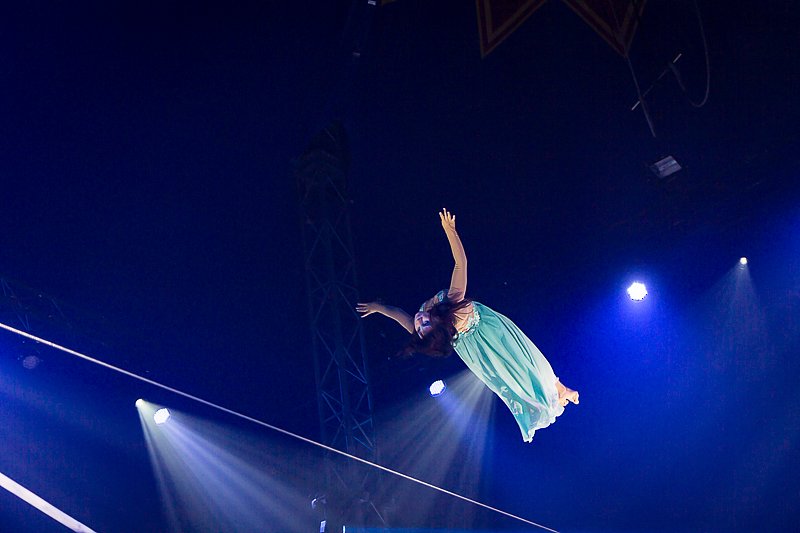 IMG-8516.jpg