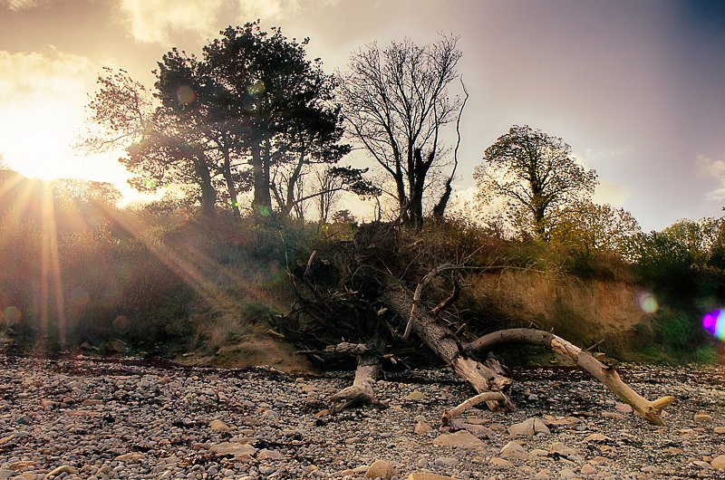 IMG-5878-HDR.jpg