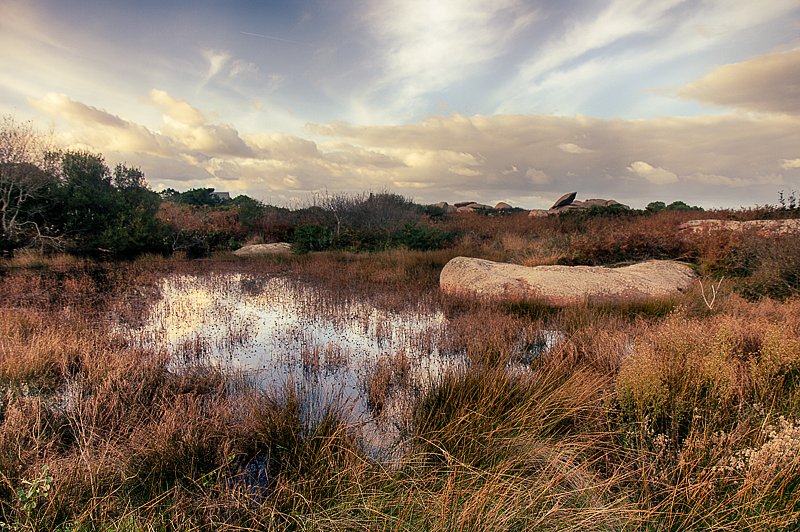IMG-5663-HDR.jpg